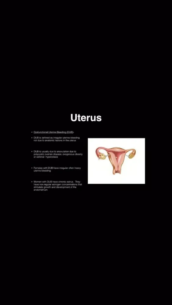 Reproductive Blueprint PANCE PANRE Review Course Ekran Görüntüleri