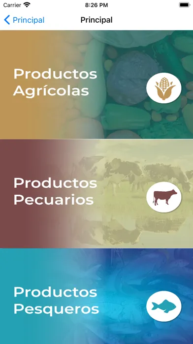 Capturas de pantalla de Panorama Agroalimentario 2021
