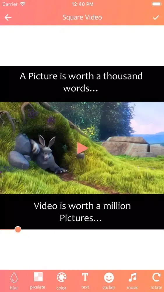 No Crop - Square Video Screenshots
