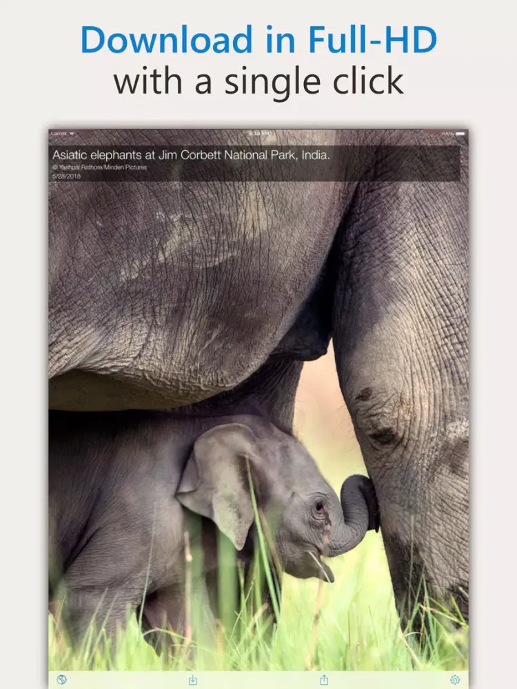 Ảnh chụp màn hình của DailyPic — Bing Wallpaper iPad 
