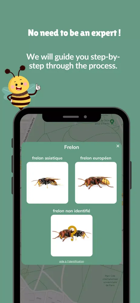 صور Beefree