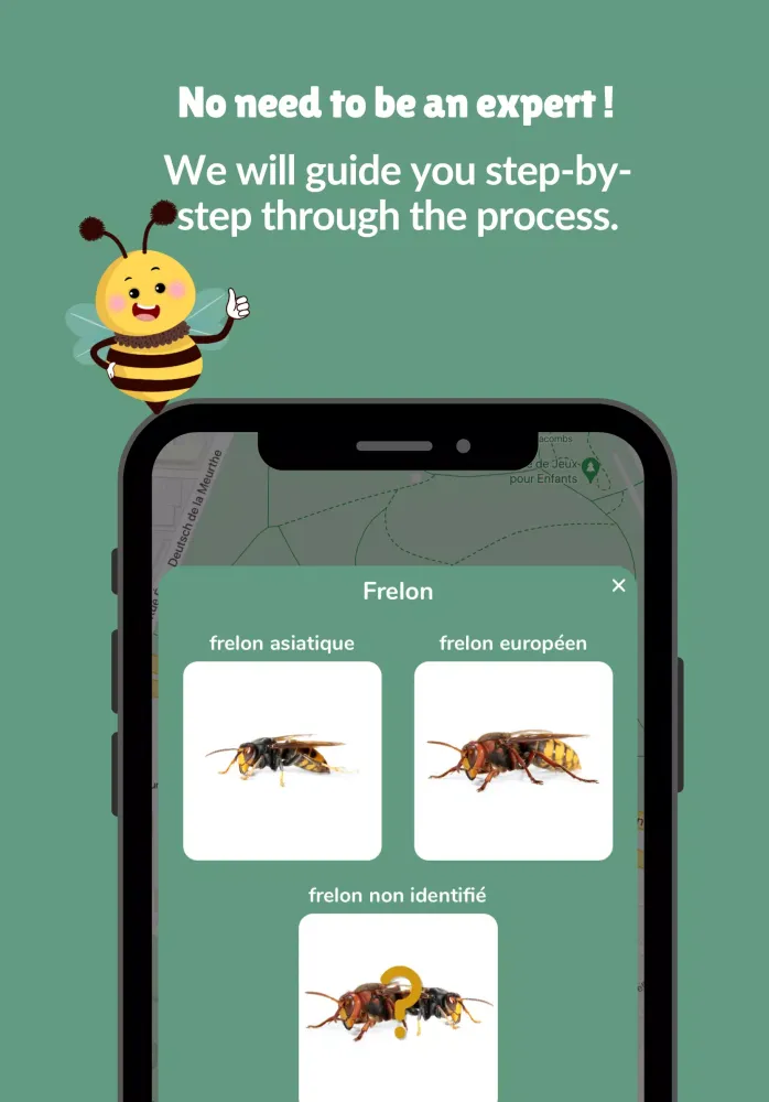 صور Beefree