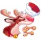 Reindeer Party