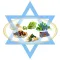 Crazy Charades - Passover edition