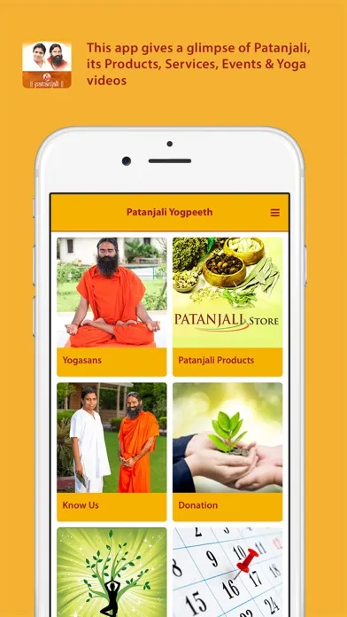 Скриншоты Patanjali