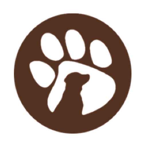 Paws and Possibilities Paws and Possibilities