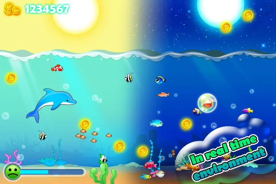 Pocket Dolphin Racing Screenshots