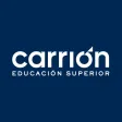 Carrion