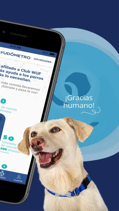 Zrzuty ekranu Club WUF