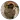 Peanut Encryption