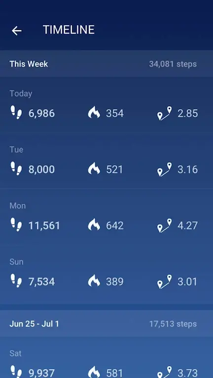 Pedometer-screenshot-2