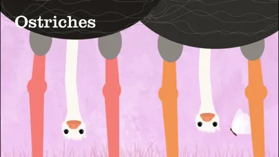 Zrzuty ekranu Peek-a-Zoo: Peekaboo Zoo Games