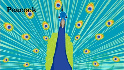 Zrzuty ekranu Peek-a-Zoo: Peekaboo Zoo Games