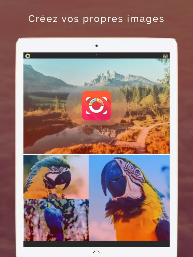 Ảnh chụp màn hình của PicsEdit - Créer des images et sublimer vos photos iPad 