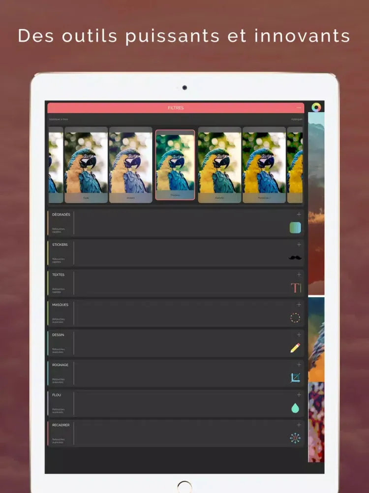 Ảnh chụp màn hình của PicsEdit - Créer des images et sublimer vos photos iPad 