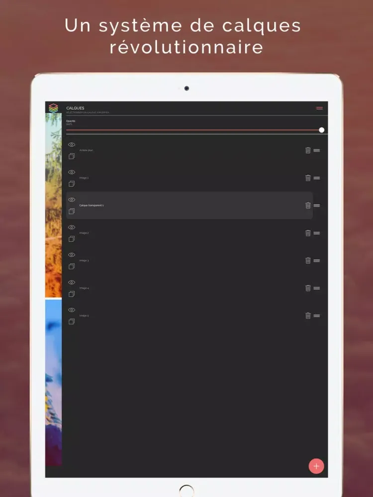 Ảnh chụp màn hình của PicsEdit - Créer des images et sublimer vos photos iPad 