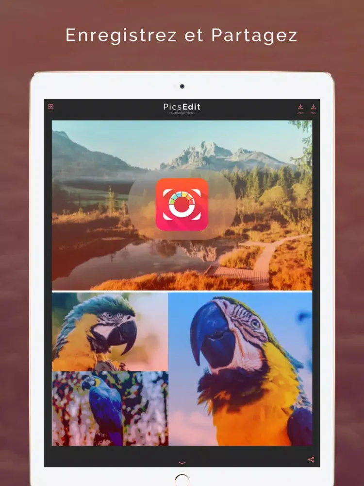 Ảnh chụp màn hình của PicsEdit - Créer des images et sublimer vos photos iPad 