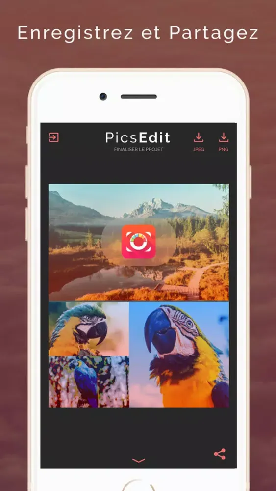 Ảnh chụp màn hình của PicsEdit - Créer des images et sublimer vos photos