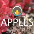 APPLES: Arctic Plant Phenology