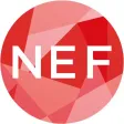 NEXT EINSTEIN FORUM (NEF) NEXT EINSTEIN FORUM (NEF)