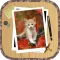 Kitten Slide Puzzles