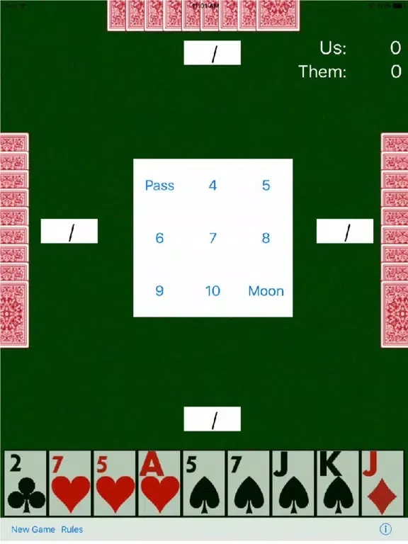 P10 Pitch iPad  স্ক্রিনশট