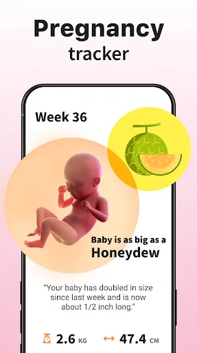 Ovulation & Period Tracker Screenshots