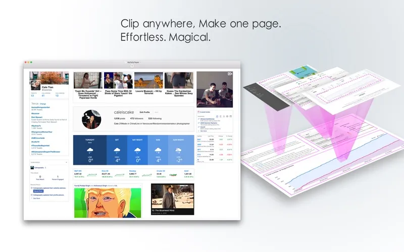 صور 54Book-Clip Webs Into One Page