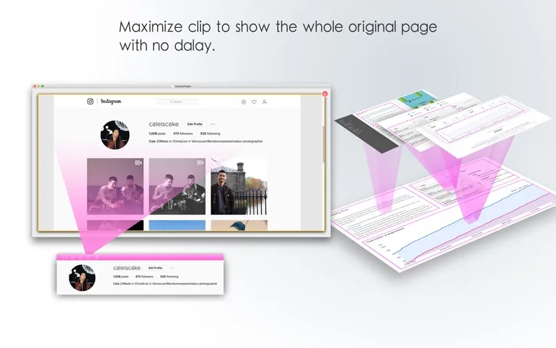 صور 54Book-Clip Webs Into One Page