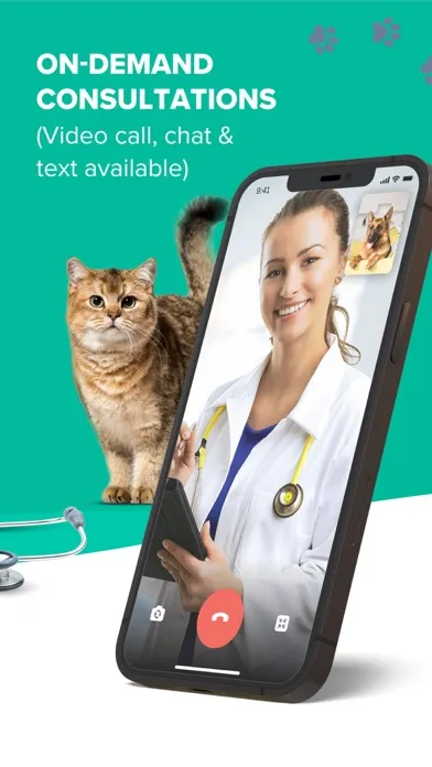تصاویر KeepPet: Cat&Dog Vet Pet Care