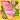 Flower Petals Live Wallpaper