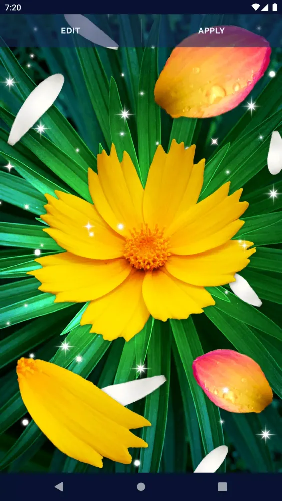 Tangkapan layar Flower Petals Live Wallpaper