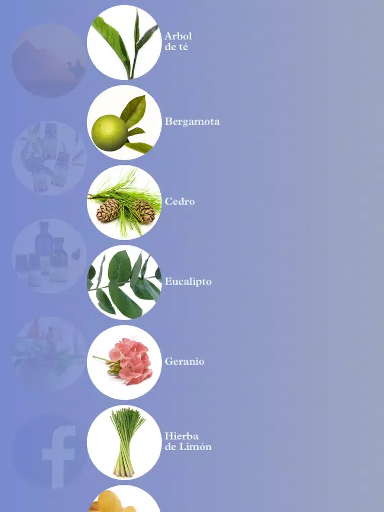 Screenshot di Organic Aroma iPad 