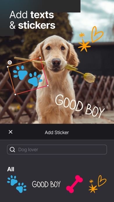 Photo Up! Photo Editor & Maker应用截图