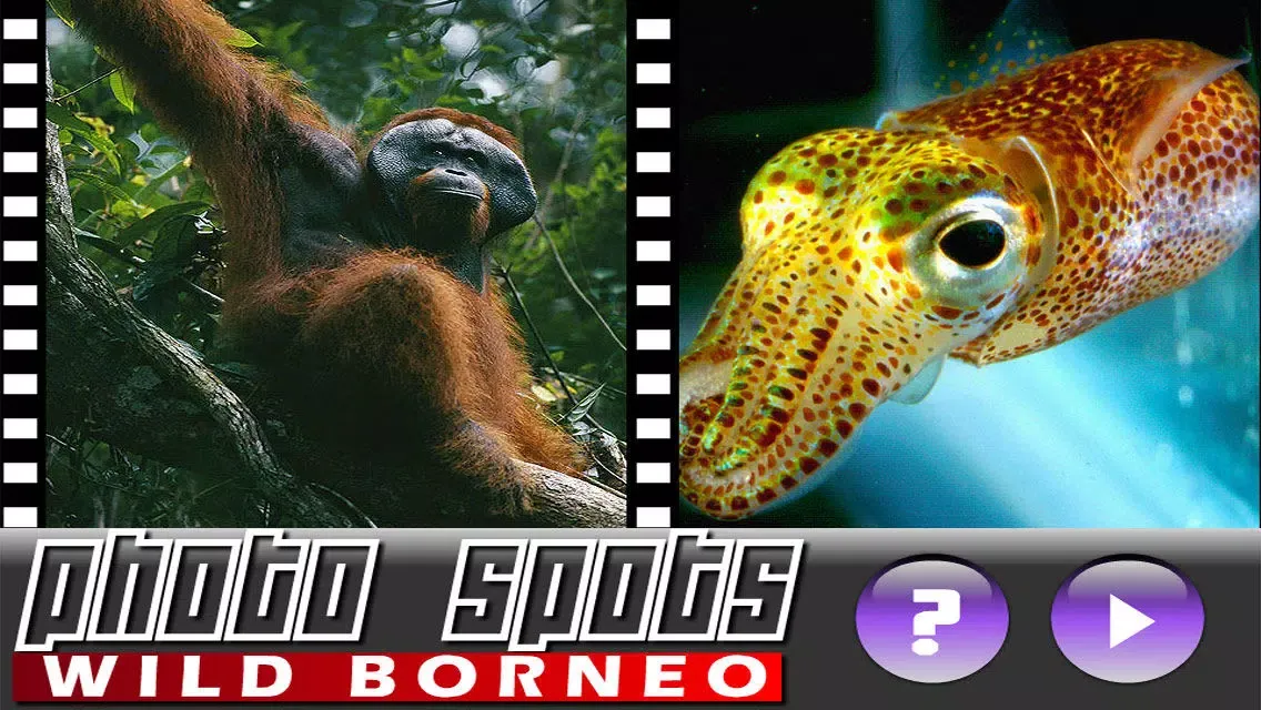 Photo Spots Borneo (The Land Below the Wind) Ekran Görüntüleri