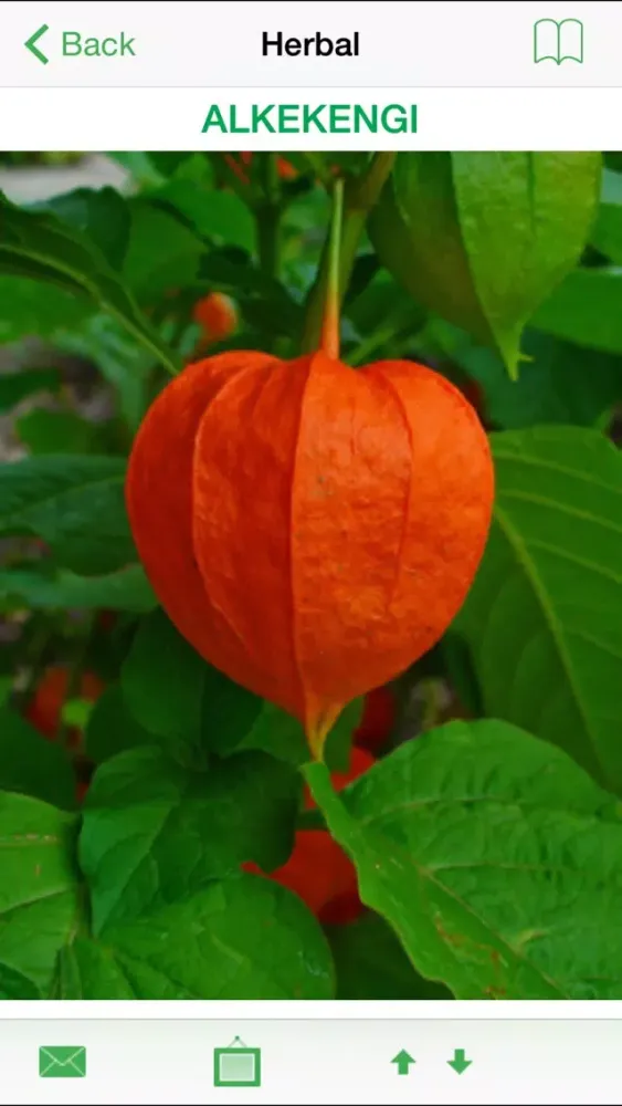 Captures d'écran de Phytotherapy