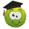 Learn vocabulary with Wozzol
