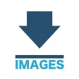Search Image box