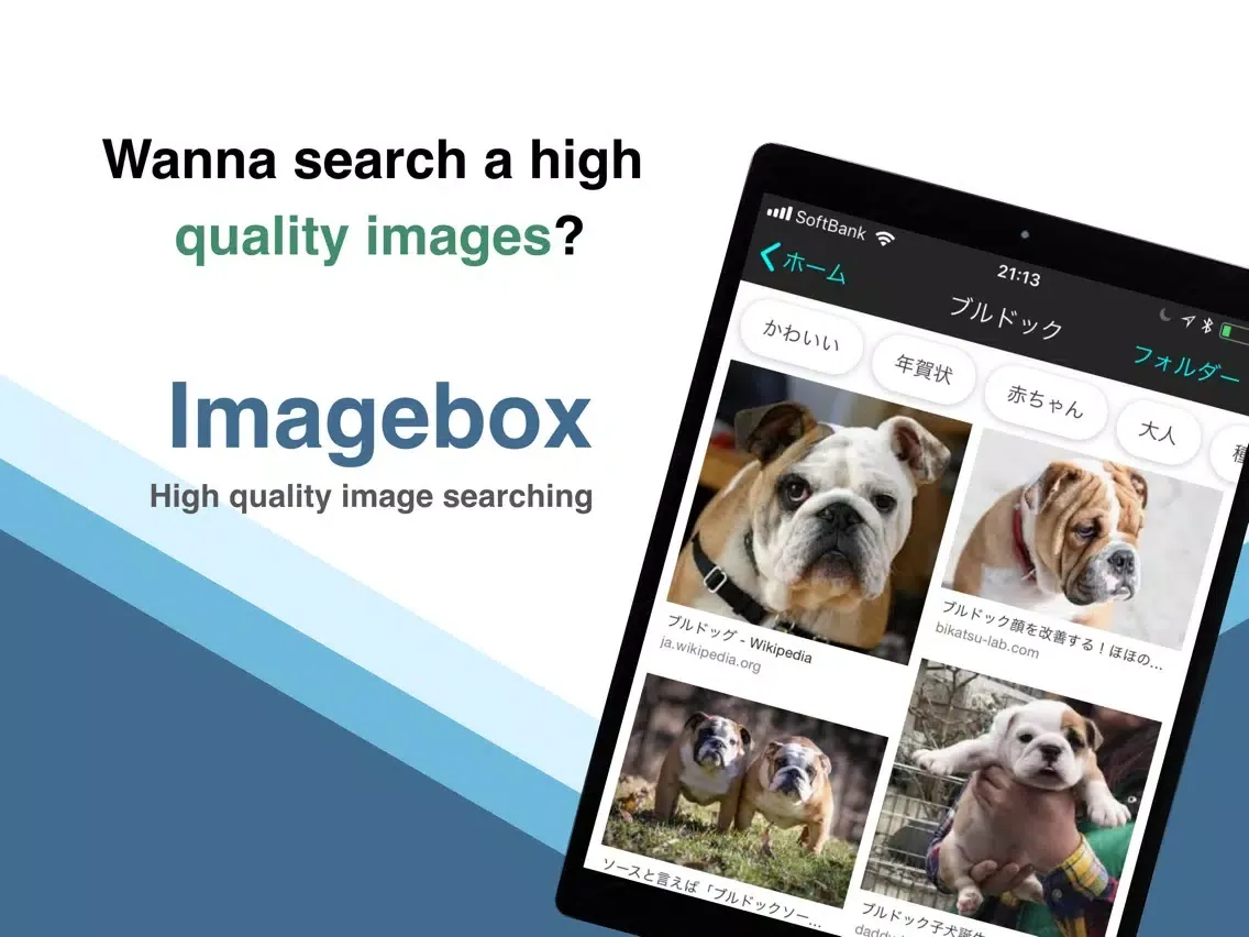 Tangkapan layar Search Image box iPad 