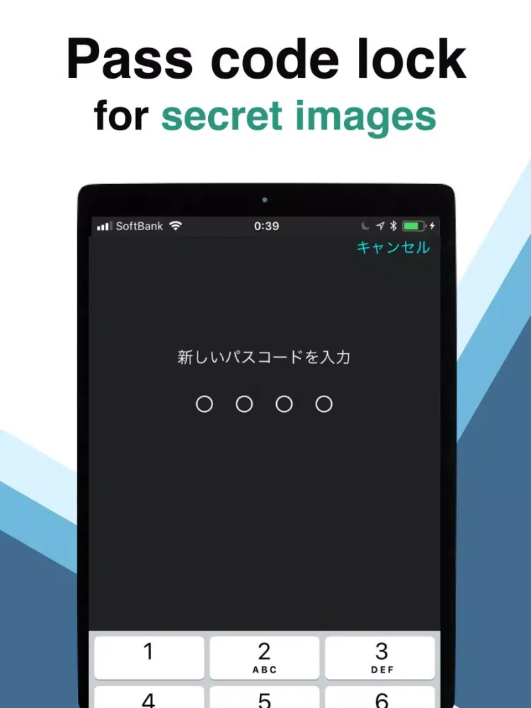 Tangkapan layar Search Image box iPad 