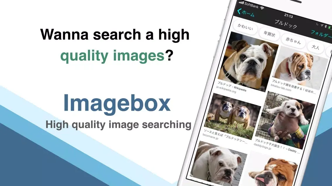 Tangkapan layar Search Image box