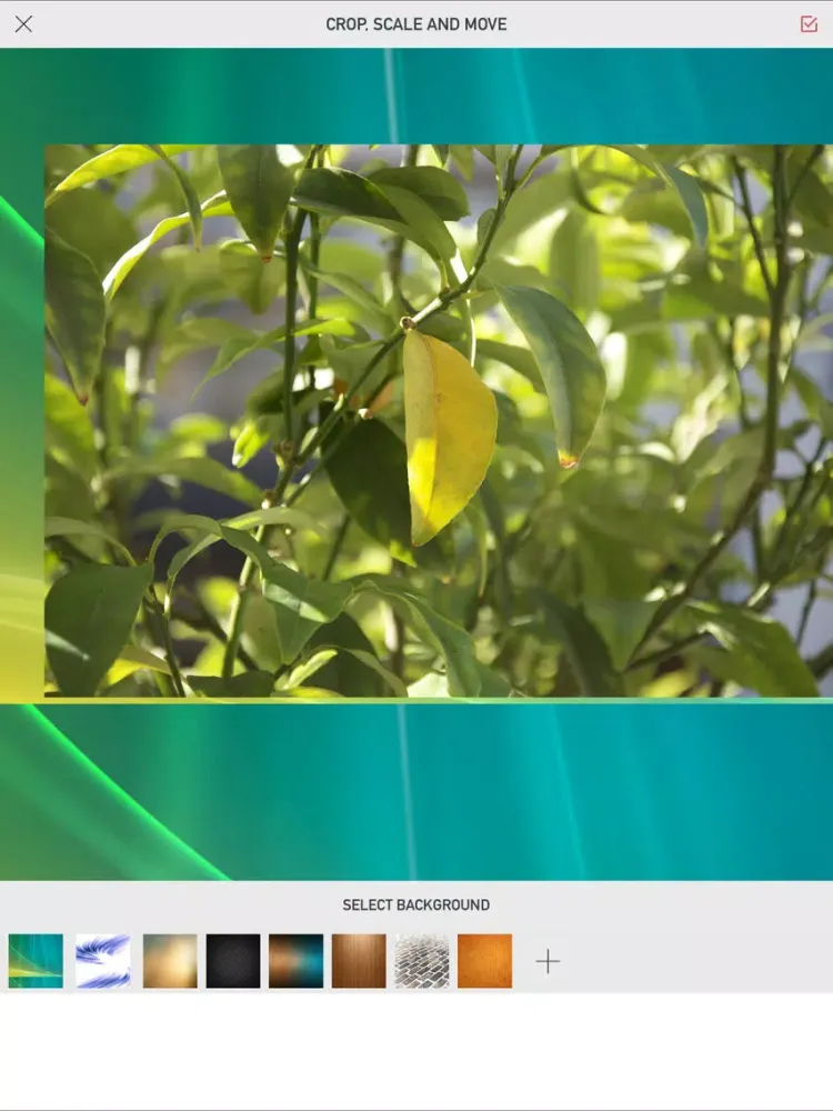 Screenshot di Photo effects & Photo filters - Image Editor plus iPad