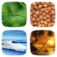 4 Pics 1 Word — Picture Game