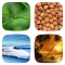 4 Pics 1 Word — Picture Game