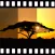 HDR Video
