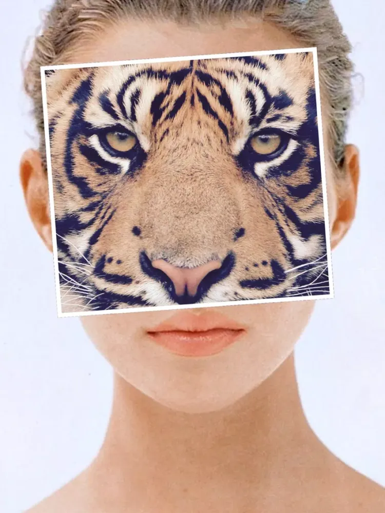 Скриншоты PieceFoto iPad 