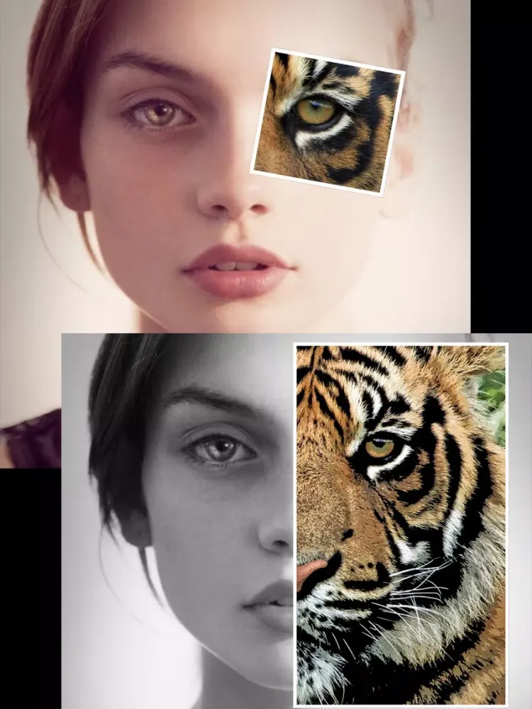 Скриншоты PieceFoto iPad 