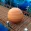 Balancer Ball 3D