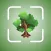 Tree Identifier - TreeID