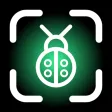 Insect identifier: AI Bug ID